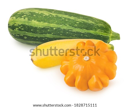 Vegetable composition: squash, marrow, patisson on white background. Clip art image for package design.