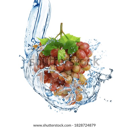 Grape cluster with water splash on white background