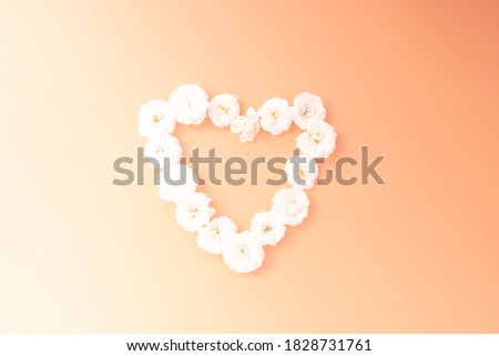 Flowers composition. heart frame of white small rose on pink background. Mother's day, Valentine's day, birthday, spring, summer concept. Flat lay, top view, copy space