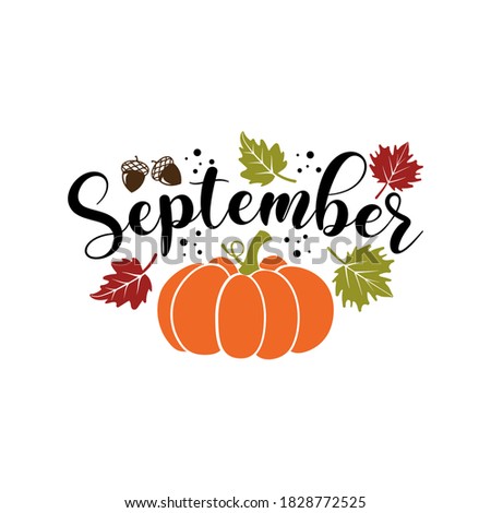 September slogan inscription. Vector thanksgiving quote. Illustration for prints on t-shirts and bags, posters, cards. Pumpkin season, Fall vector design. Isolated on white background.