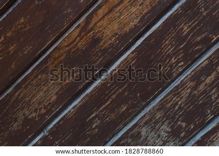Texture of a wood. Photo of a door.