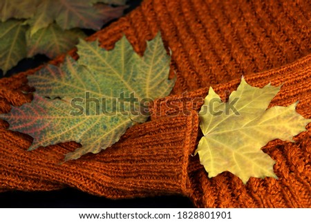 Autumn picture. Orange red knitted woolen sweater with autumn leaves on a dark background. Cozy knit jumper clothes