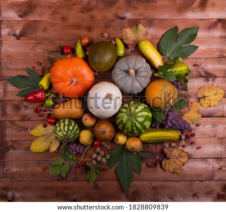Still life of the autumn harvest of pumpkins, watermelons, melons, pears, apples, walnuts, hazelnuts, grapes, peppers, cucumbers, and rose hips on a wooden background