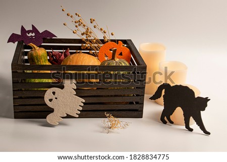 
Halloween composition: pumpkins, box, candles, dried flowers, decor