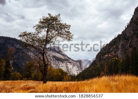 The view from within Yosemite Valley of surrounding rock faces on a stormy day in California, USA Royalty-Free Stock Photo #1828856537