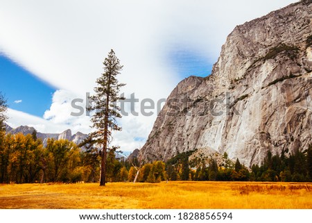 The view from within Yosemite Valley of surrounding rock faces on a stormy day in California, USA Royalty-Free Stock Photo #1828856594