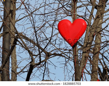 The decoration of red heart hangs on the bare branches of a tree. A symbol of a romantic relationship between a man and a woman. The color of passion and love between individuals. Spring mood 