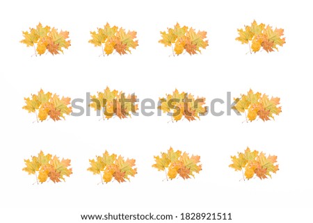 Background from a yellow maple leaf as a symbol of autumn.