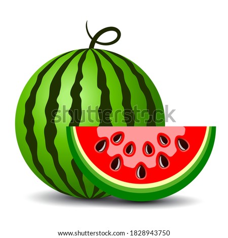 Water melon cartoon, vector clip art on white background
