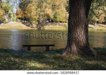 A wooden bench in the shade of a tree on the Bank of the city pond on a Sunny autumn day.