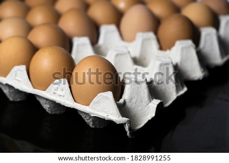 Eggs in egg panel at not full panel on black background