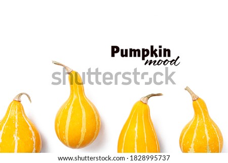 Autumn composition, layout with bright orange, yellow pumpkins. Pear-shaped Kleine Bicolor pumpkins. Isolated white background. Thanksgiving halloween design idea. Flat lay, top view, copy space