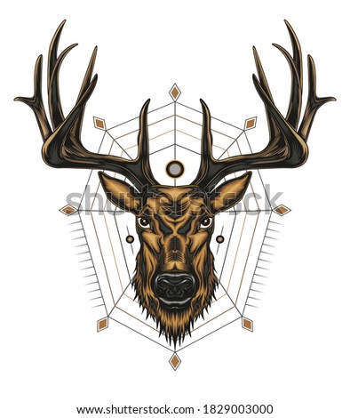 deer head illustration. vector animal logo.
