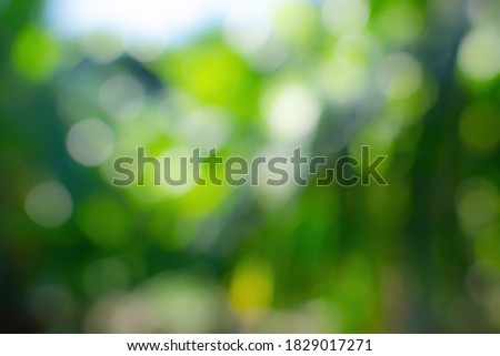 Abstract green bokeh for design to create a harmonious background with the front object.
