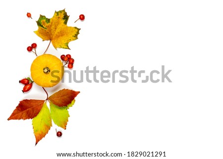 Flat lay autumn. Natural food, harvest with orange pumpkin, fall dried leaves, rowan berries isolated on white background. Mockup for seasonal offers and holiday post card, top view.