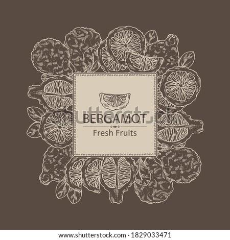 Background with bergamot and bergamot slice. Vector hand drawn illustration.