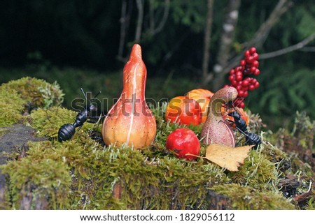 ants and pumpkins on a tree trunk with moss
