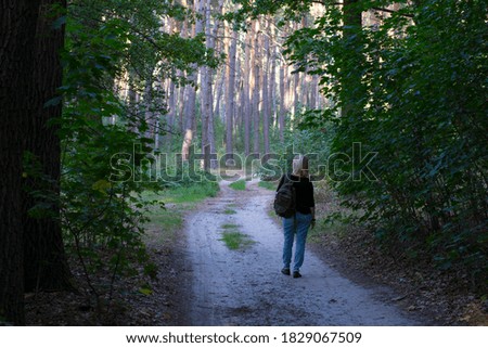 girl walking in the woods back view. young woman in autumn forest. girl with a backpack, tourist. enjoying autumn weather. Rest, relaxation, lifestyle concept, walk in the fresh air. hiking in nature