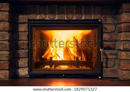 fireplace and fire close view as object or background, brick wall