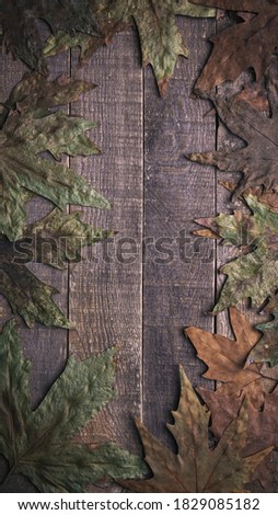 autumn leave. on wood background