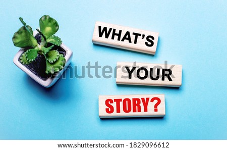 WHAT'S YOUR STORY Question is written on wooden blocks on a blue background near a flower in a pot