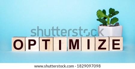 OPTIMIZE written on wooden cubes near a flower in a flower box on a blue background