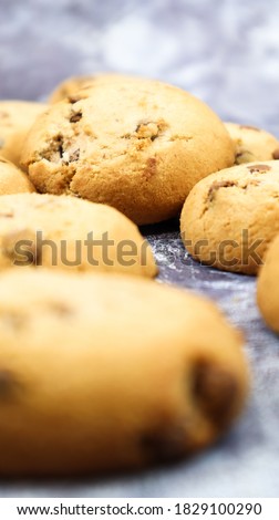 Soft, freshly baked chocolate chip cookies on a gray marble kitchen countertop. American traditional sweet pastry pastry, delicious homemade dessert. Culinary background. Selective focus