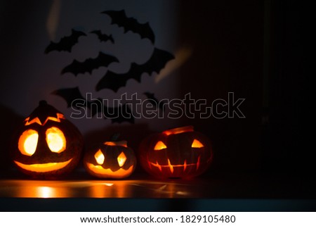 Three different glowing Halloween pumpkins on bats background at night