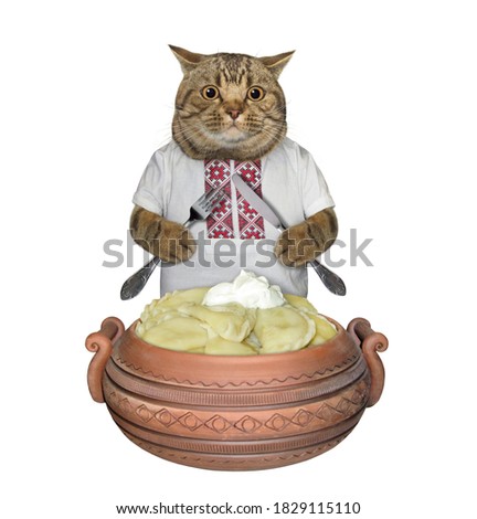 A cat patriot with a knife and a fork is eating dumplings with sour cream from a clay bowl. Vareniki. White background. Isolated.
