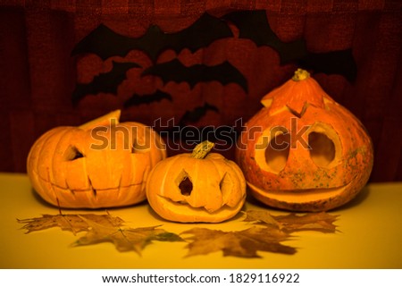 Three different glowing Halloween pumpkins on bats background at night