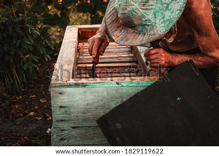 old man working in an apiary near the beehive with honey and bees 1