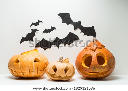 Three different  glowing Halloween Pumpkins with bats isolated on 
white background