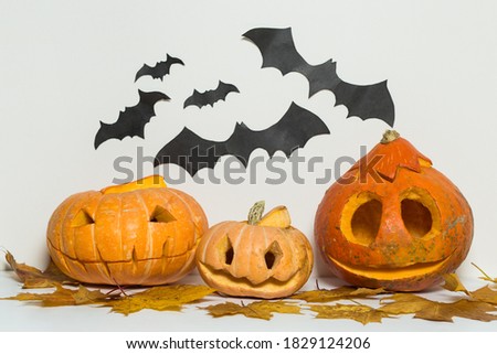 Three different  glowing Halloween Pumpkins with bats and maple leaves isolated on 
white background