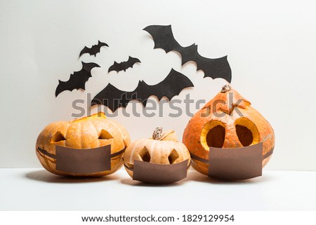 Three different halloween pumpkins with bats isolated on
White background. Pumpkins in medical masks due to the coranovirus epidemic covid 19
