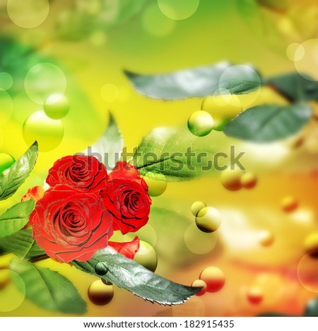 Background of rose leaves