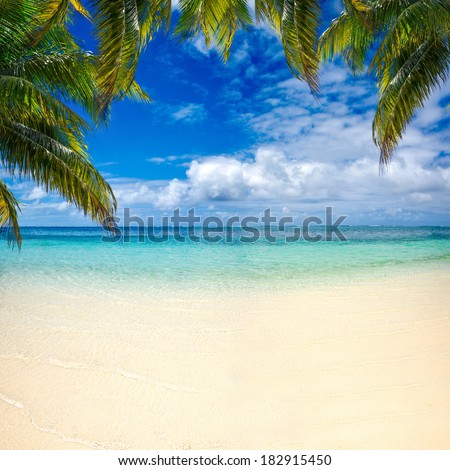beach summer with clouds, blue sky and palm tree beautiful paradise for holiday and relax copy space background