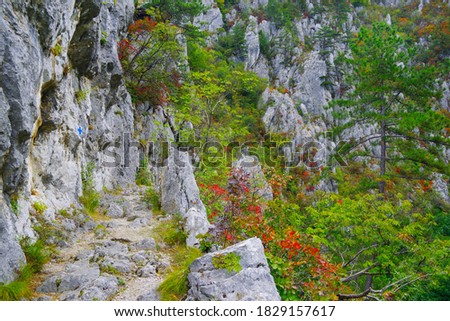 Tesnei Gorges landscape in the protected area of Herculane, Romania