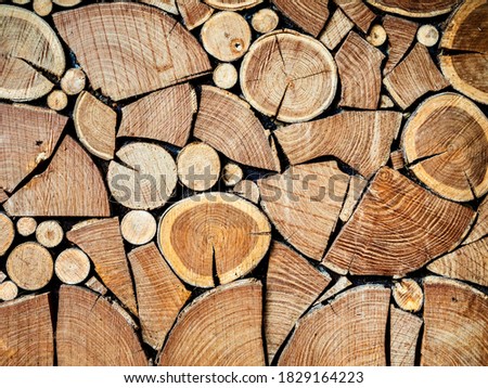 A repeating rhythmic background made from pieces of sawn wood. Background for design. Layout underlay.