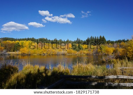 A pretty pond surrounded by trees showing beautiful fall foliage colors, on a bright sunny day in autumn, with vibrant blue skies                       