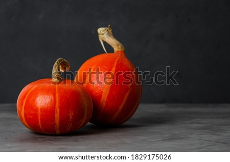 Two fresh orange pumpkins on a dark concrete background. Halloween concept. Copy space