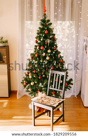 A chair with cooked gingerbread on a tray, against the background of a decorated Christmas tree in toys and garlands, in the room.