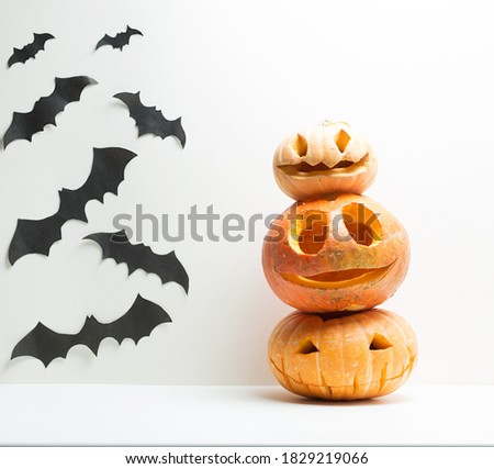Three different  Halloween Pumpkins with bats isolated on 
white background
