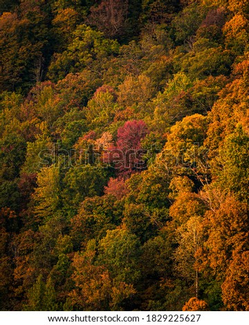 The sun rises over Whitaker Point, known as Hawksbill Crag, in Arkansas as the fall colors begin to set in on the trees Royalty-Free Stock Photo #1829225627