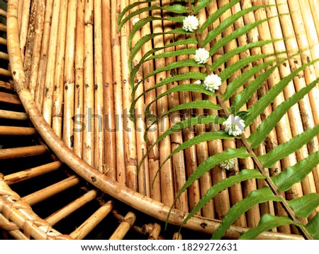 photo of flower and leaves on wood background.