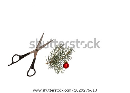 Christmas composition. Hairdressing scissors and a spruce branch on a white background. Template for a postcard or information about a hair salon. Flat lay, copy space.