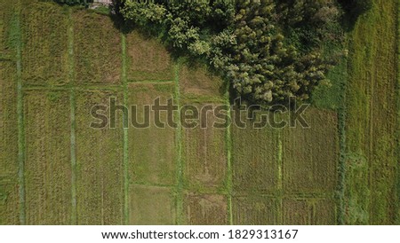 
Green rice field aerial photography