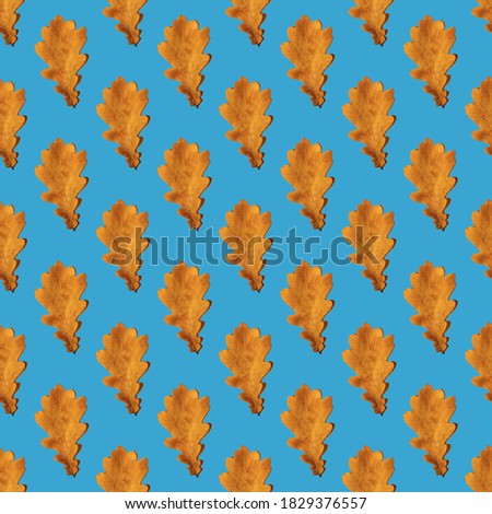 Seamless pattern of yellow autumn oak leaves on a blue background. Can be used as a natural background