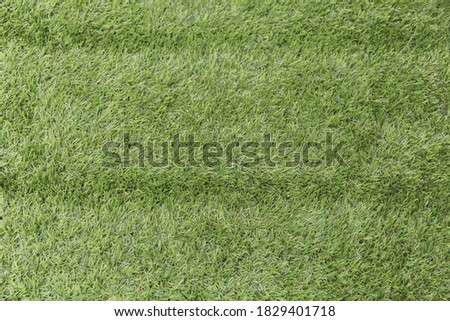 green artificial grass texture in the garden