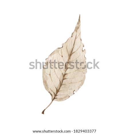 Watercolor autumn foliage clipart illustration. High quality illustration of fall leaves