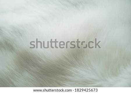 Close up of wool for abstract background, texture wallpaper.